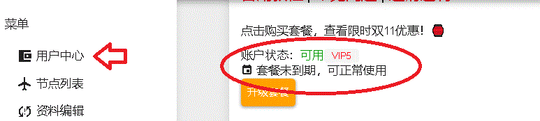 账户状态正常示例